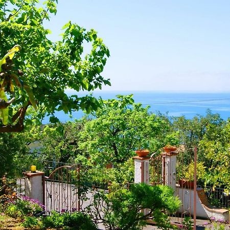 B&B La Casa Del Gelso Acquafredda Dış mekan fotoğraf