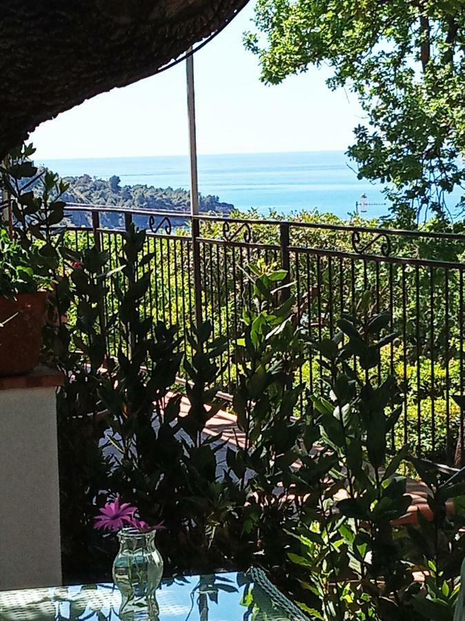 B&B La Casa Del Gelso Acquafredda Dış mekan fotoğraf