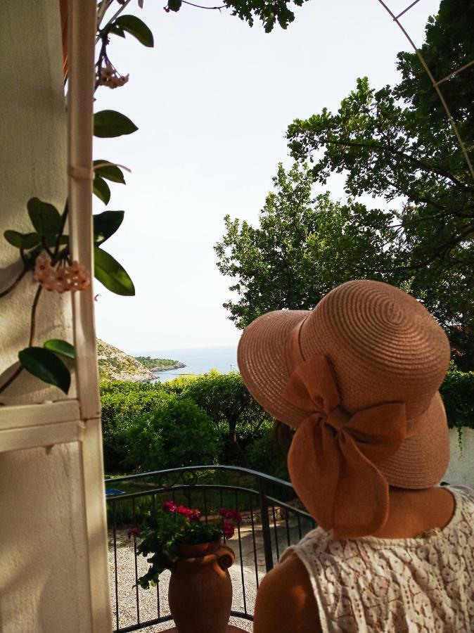 B&B La Casa Del Gelso Acquafredda Dış mekan fotoğraf
