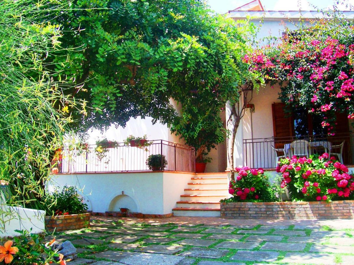 B&B La Casa Del Gelso Acquafredda Dış mekan fotoğraf
