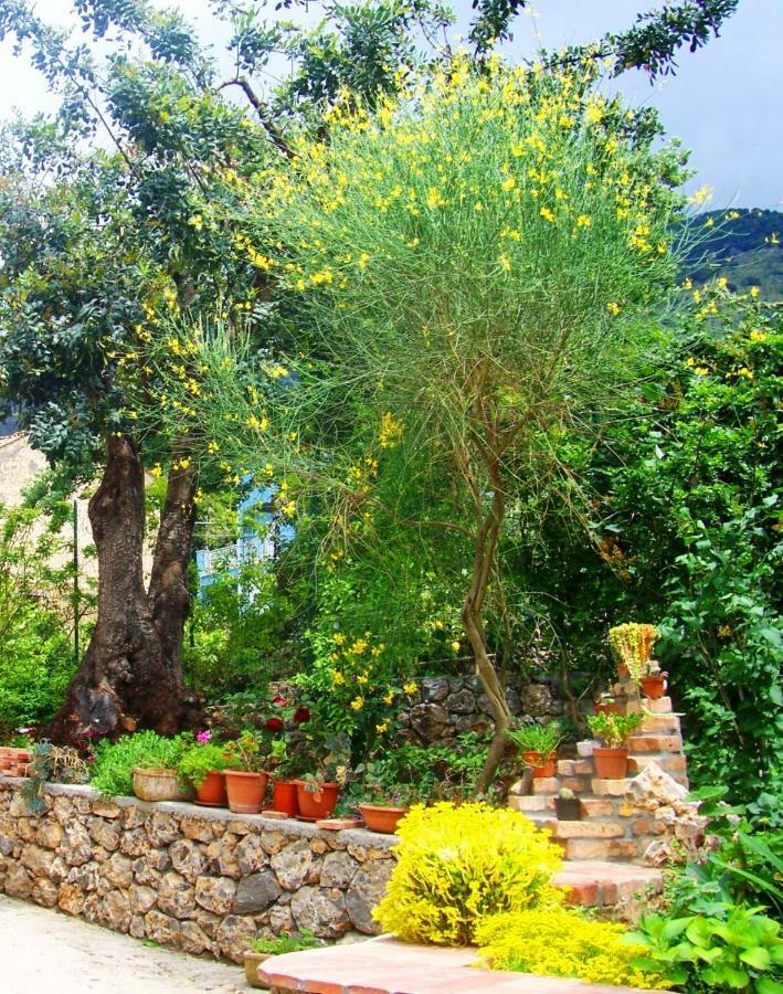 B&B La Casa Del Gelso Acquafredda Dış mekan fotoğraf