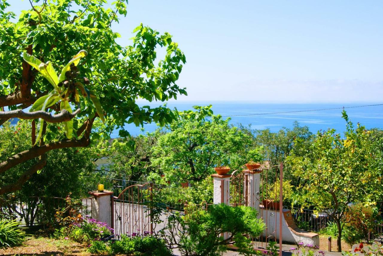 B&B La Casa Del Gelso Acquafredda Dış mekan fotoğraf
