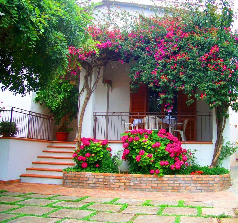 B&B La Casa Del Gelso Acquafredda Dış mekan fotoğraf