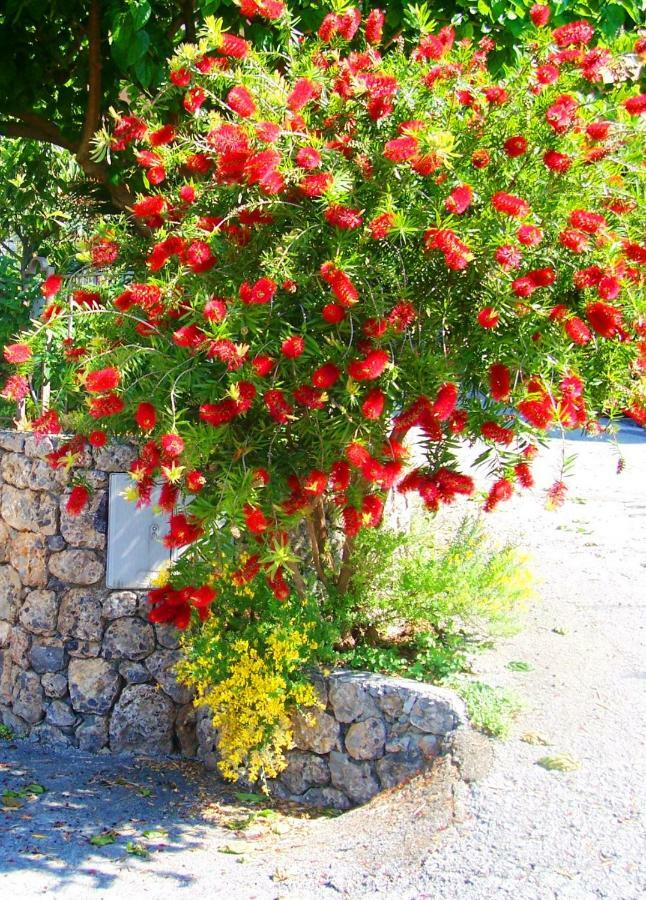 B&B La Casa Del Gelso Acquafredda Dış mekan fotoğraf