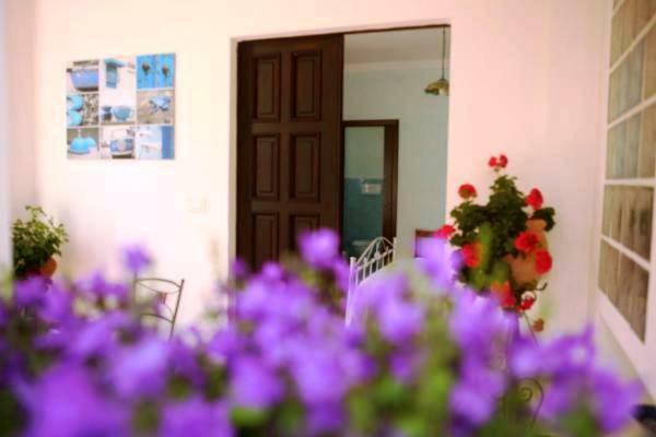 B&B La Casa Del Gelso Acquafredda Dış mekan fotoğraf