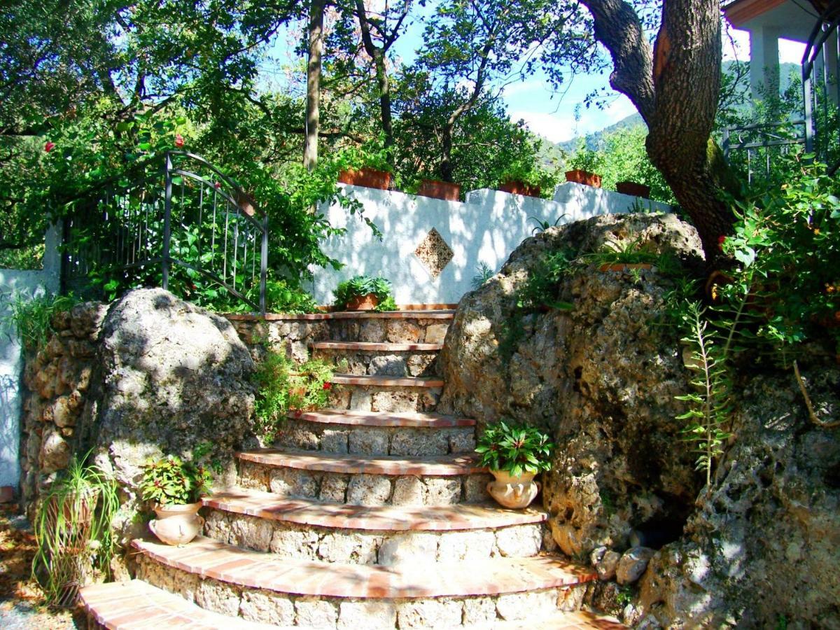 B&B La Casa Del Gelso Acquafredda Dış mekan fotoğraf