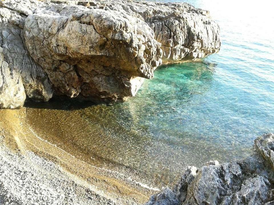B&B La Casa Del Gelso Acquafredda Dış mekan fotoğraf