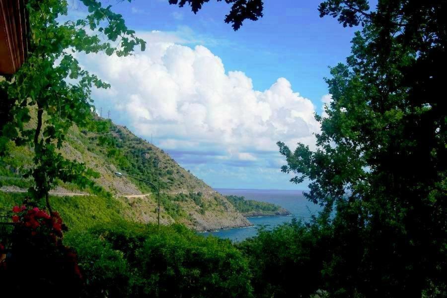 B&B La Casa Del Gelso Acquafredda Dış mekan fotoğraf
