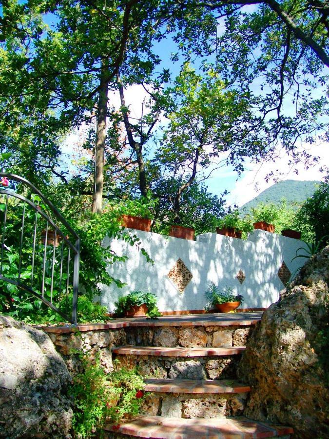 B&B La Casa Del Gelso Acquafredda Dış mekan fotoğraf