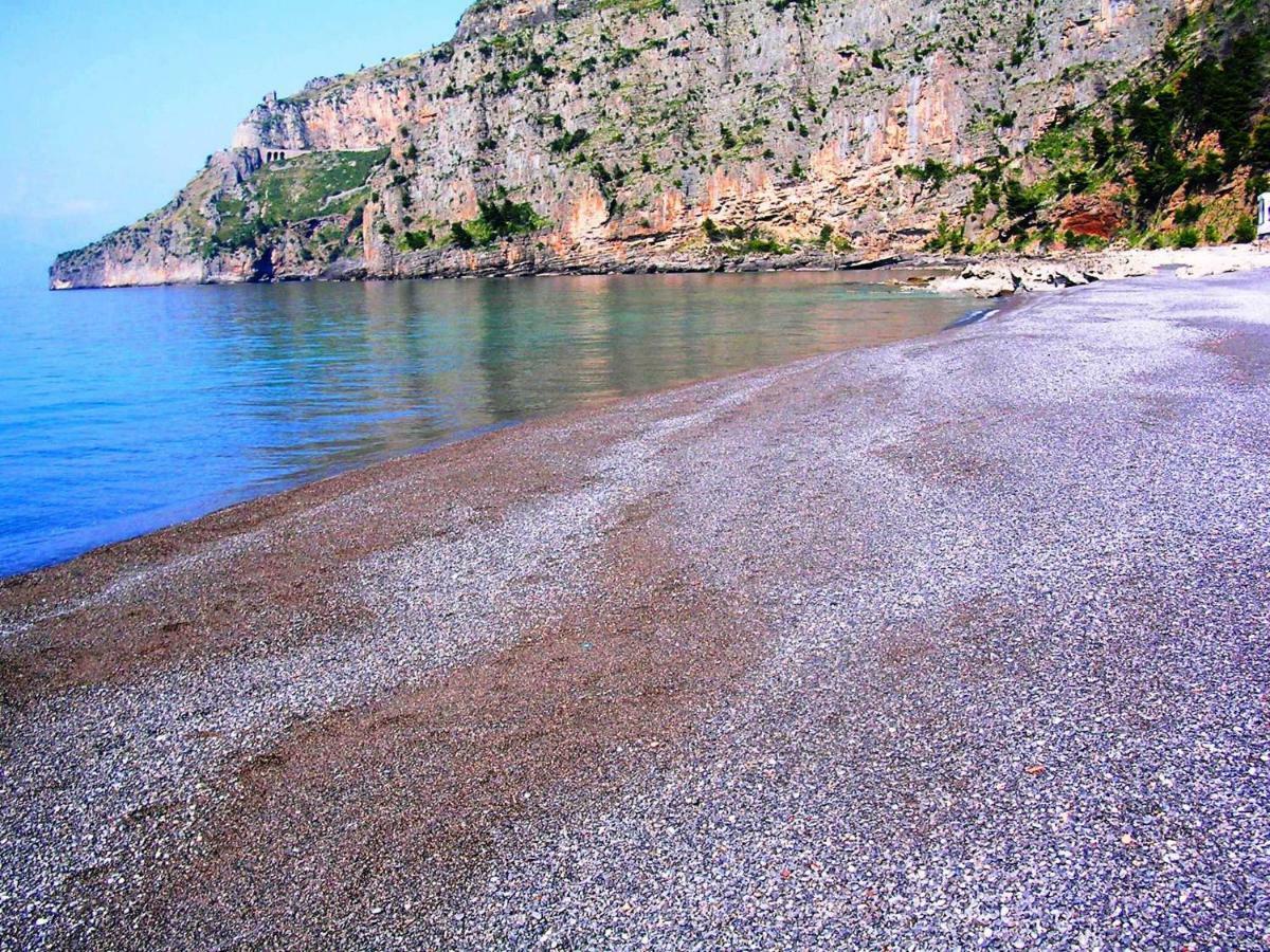 B&B La Casa Del Gelso Acquafredda Dış mekan fotoğraf