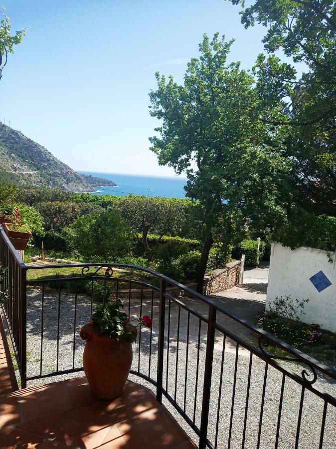 B&B La Casa Del Gelso Acquafredda Dış mekan fotoğraf