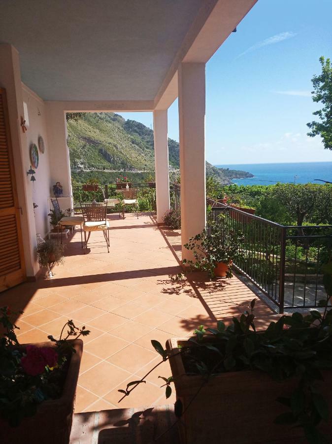 B&B La Casa Del Gelso Acquafredda Dış mekan fotoğraf