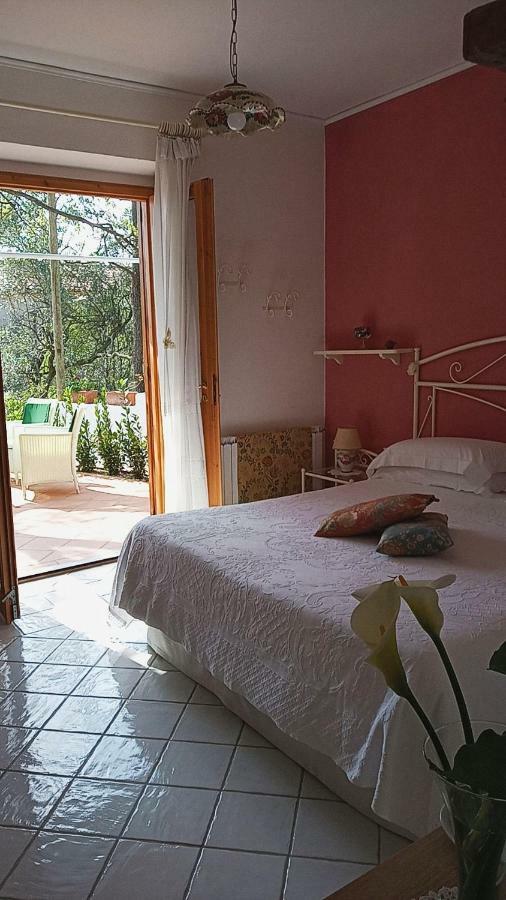 B&B La Casa Del Gelso Acquafredda Dış mekan fotoğraf