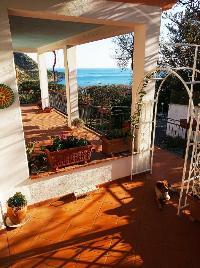 B&B La Casa Del Gelso Acquafredda Dış mekan fotoğraf