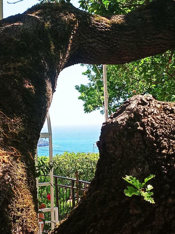 B&B La Casa Del Gelso Acquafredda Dış mekan fotoğraf