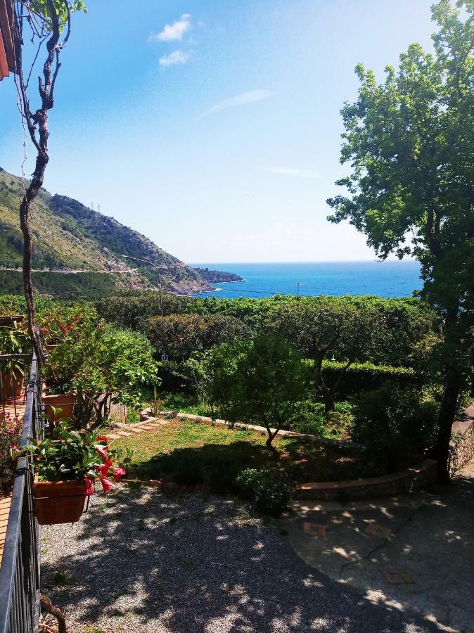 B&B La Casa Del Gelso Acquafredda Dış mekan fotoğraf
