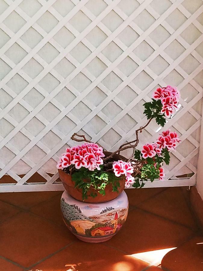 B&B La Casa Del Gelso Acquafredda Dış mekan fotoğraf