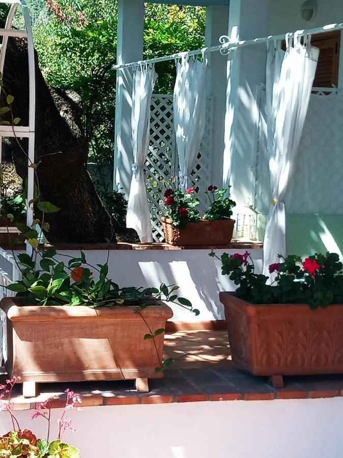 B&B La Casa Del Gelso Acquafredda Dış mekan fotoğraf
